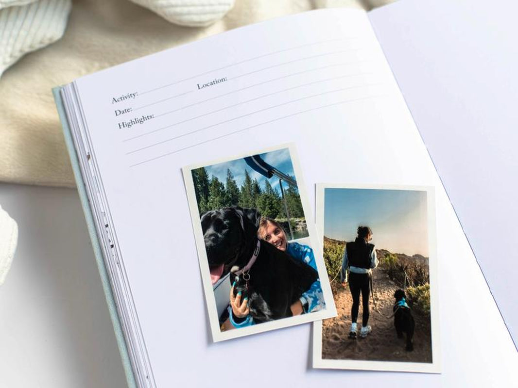 A Dog’S Life: Dog Memory Book