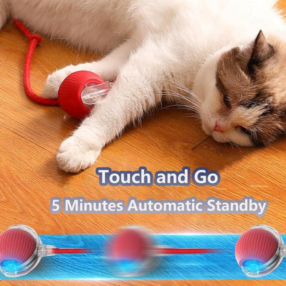 2025 New Interactive Cat Toys Balls,Automatic Moving Cat Balls, Cat Toys for Bored Indoor Cats（Red）